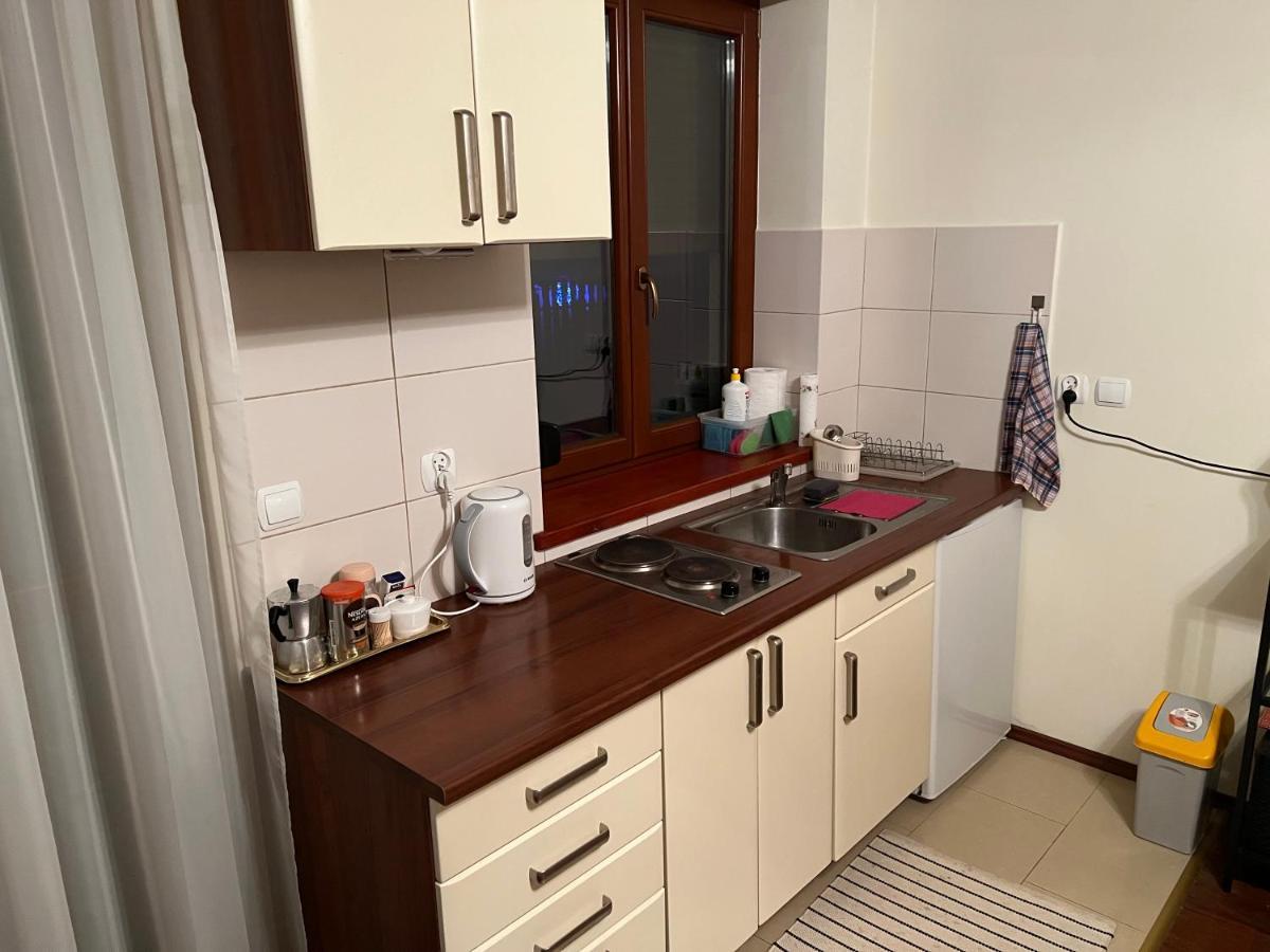 Apartament Apartament Widokowy Kościelisko Zewnętrze zdjęcie